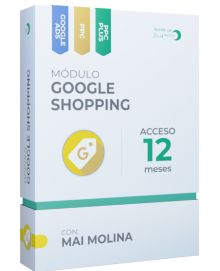 Máster Google Shopping