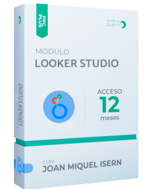 Máster Looker Studio