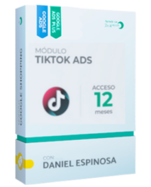 TikTok Ads