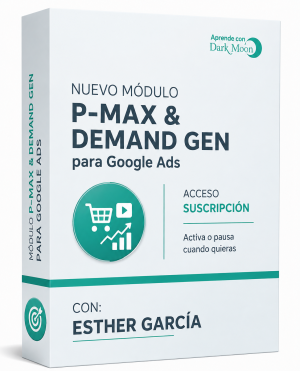 Performance Max y Demand Gen