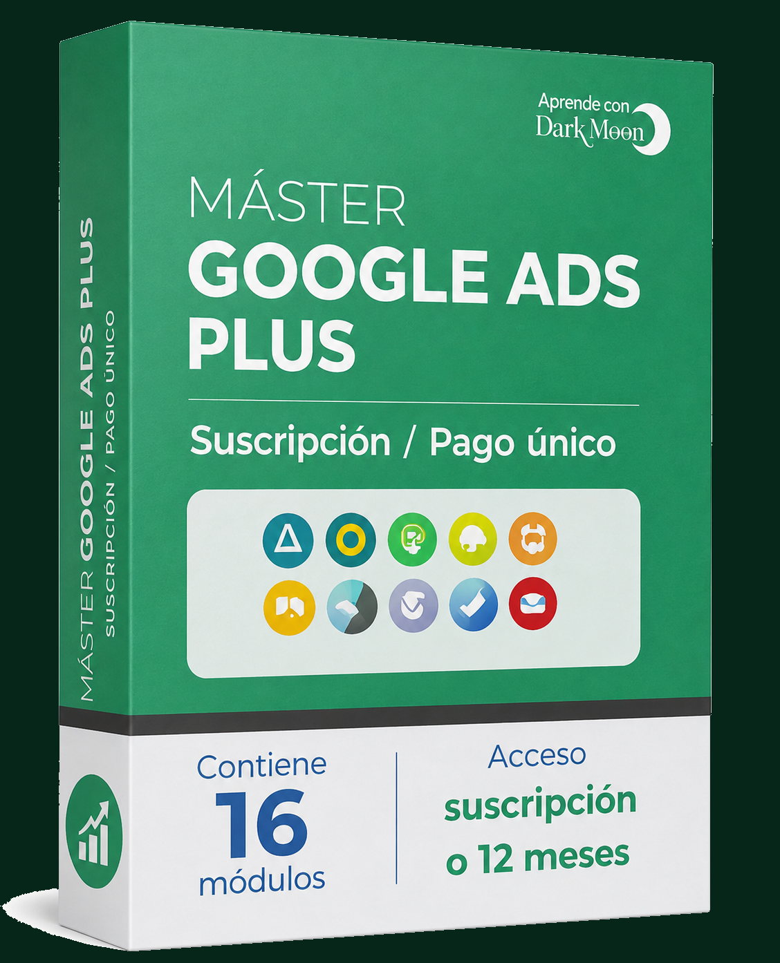 Máster Google Ads Plus
